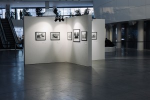 Выставка «Это война» в Ельцин Центре