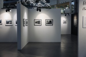 Выставка «Это война» в Ельцин Центре