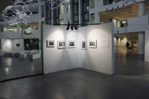 Выставка «Это война» в Ельцин Центре