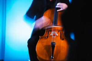 Концерт виолончелиста Андрея Ефимовского