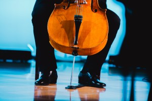 Концерт виолончелиста Андрея Ефимовского