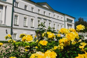 Усадьба Долгоруковых-Бобринских. Розы. 3 июня