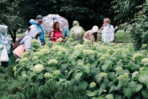 Свобода творчества в Саду трав. Занятие для незрячих и слабовидящих посетителей