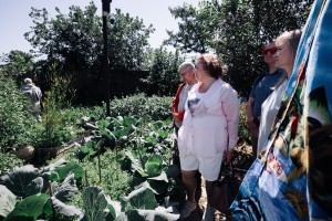 Экскурсия «От музейной витрины до сысертской рябины»