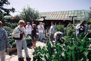 Экскурсия «От музейной витрины до сысертской рябины»