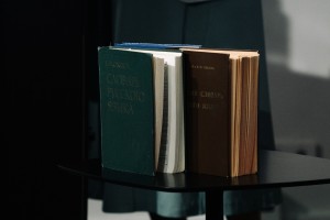 Лекция Анны Плотниковой «Толковый словарь Ожегова. От бумажного тома к цифровой эпохе»