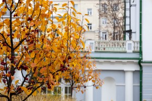 Усадьба Долгоруковых-Бобринских. Фасады. Октябрь 2025