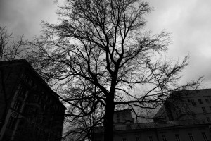 Усадьба Долгоруковых-Бобринских. Фасады. Октябрь 2025