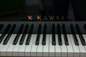 Концерт пианиста Ильи Папояна «Русские гении»