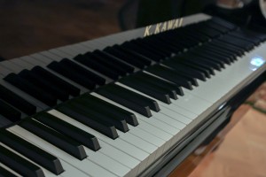 Концерт пианиста Ильи Папояна «Русские гении»