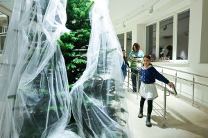 Зимний фестиваль «Снегопад»