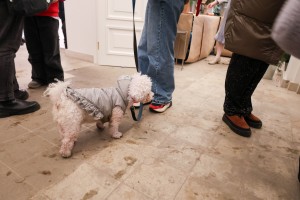 Зимний фестиваль «Снегопад»