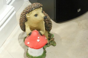 Открытие выставки музея «Ежа Петровича»