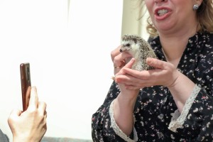 Открытие выставки музея «Ежа Петровича»