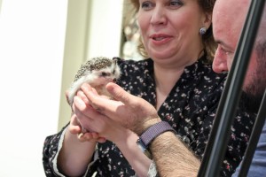 Открытие выставки музея «Ежа Петровича»