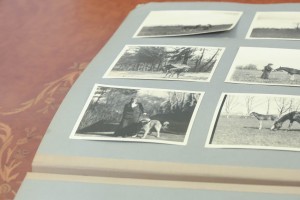 Фотоальбом из архива Бобринских. Передача архива А.А. Бобринского Президентскому центру Б.Н. Ельцина