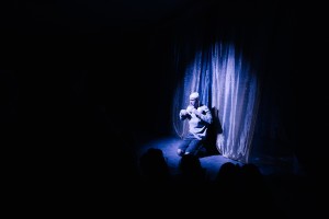 Премьера спектакля «Сказка о сером Льве»