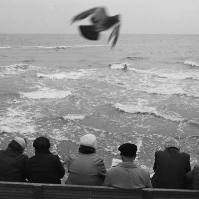 «Моментальная фотография. Сергей Рогожкин»