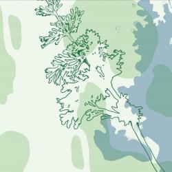 Инклюзивная музейная мастерская «Свобода творчества в Саду трав»