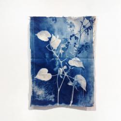 Мастер-класс Ольги Брезгуновой. Архив в оттенках индиго