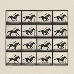 Ансамбль «царапина». Музыка повторений