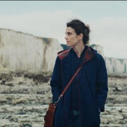 Джейн Остин испортила мне жизнь / Jane Austen a gâché ma vie