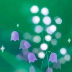 Selva Urban. Как позаботиться о новом растении