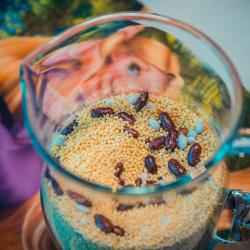 Изостудия. «Птичка из крупы»