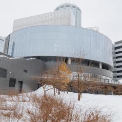 Недетские истории в Детском. Зимний пейзаж