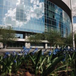 «Простор без границ». Креативная программа