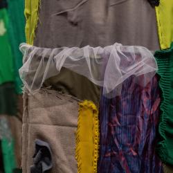 Школа кустарников. Лаборатория по «выращиванию деревьев»