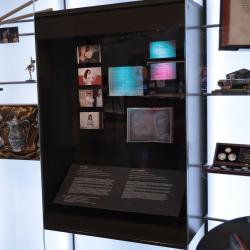 Цикл «Новое»: «Поле чудес»