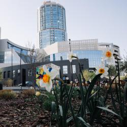 Дворовые игры