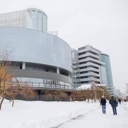 Инга Рожина. Запахи памяти: аромат как узелок воспоминаний