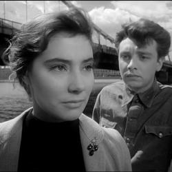 Летят журавли