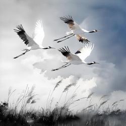 «На всю оставшуюся жизнь». Лирические песни о войне и мире