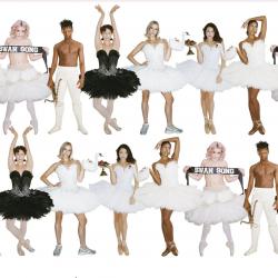 Лебединая песня. Специальный показ