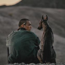 Чёрный пёс / Black dog