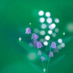 Мария Хоптинец. Как устроен Сад трав около Ельцин Центра и как создать свой