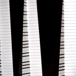 Международный конкурс пианистов памяти Веры Лотар-Шевченко