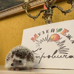 Музей как шанс. Дорогой Ёж Петрович: история музея, восставшего из пепла