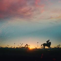 Жокей. AMFEST 16-й фестиваль американского кино