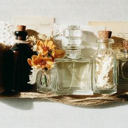 Алиса Новоселова. Запах и память: как время сохраняется в ощущениях