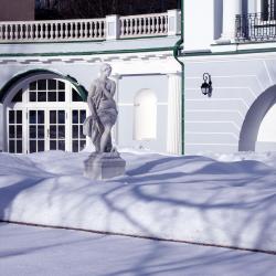 «Усадьба Долгоруковых-Бобринских: 300 лет истории»