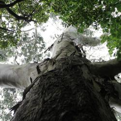 Каким будет климат на Земле через 100 и 1000 лет? Николай Смирнов