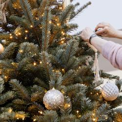 Экскурсия с подарком: «История ёлки»