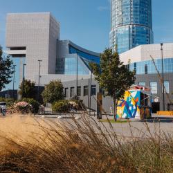 Пешеходная экскурсия «Вокруг Ельцин Центра за 60 минут и два века»