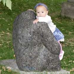 День гармонии. Разрисовка маленьких камешков