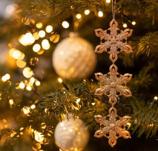 Новый год в объективе