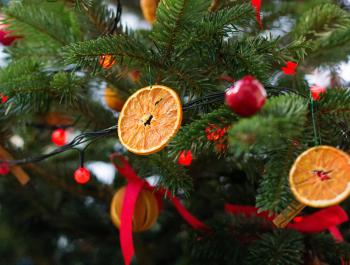 Программа новогодних праздничных мероприятий в Ельцин Центре